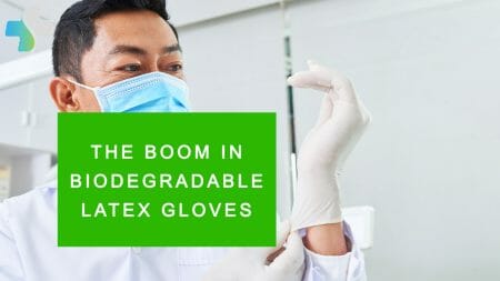 Doctor in medical facility putting on a pair of white biodegradable latex gloves