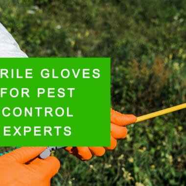 Nitrile Gloves in Cannabis Harvesting: A Must for Safety and Quality
