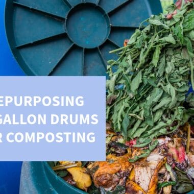 Repurposing 55-Gallon Drums in Creative Industries